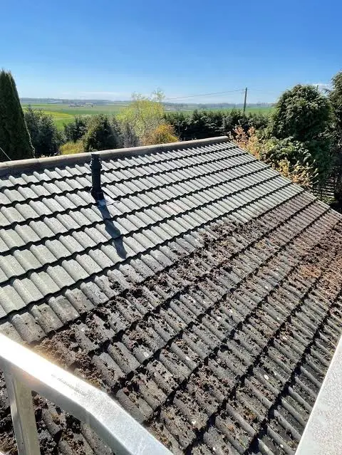 Tiled roof part way through a moss removal and clean